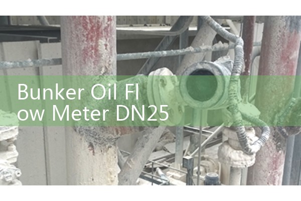 Bunker Oil Flow Meter DN25: Balancing Recirculation Loops in Cold Climates